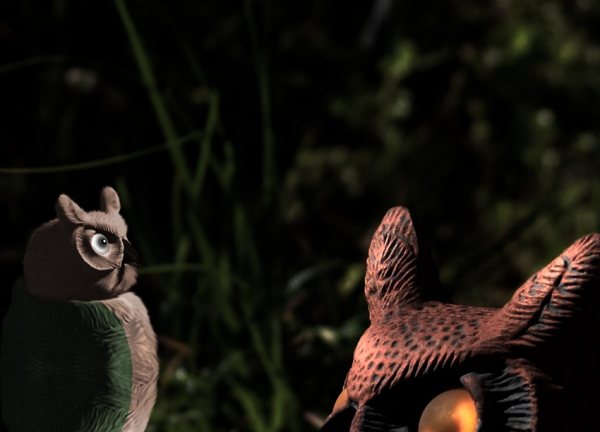 Creation of Featherless Encounter!: Step 2